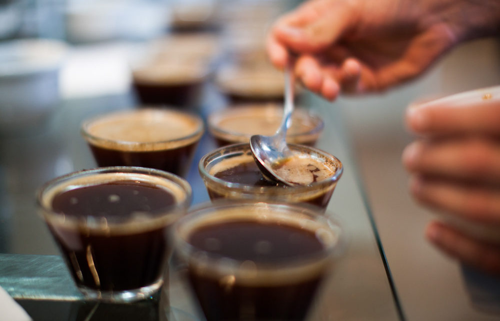 QUEM SÃOS OS CLASSIFICADORES DE CAFÉ?